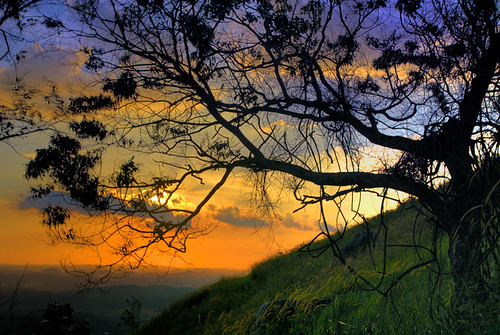 trees sunset trekking hill malaysia selangor semenyih broga brogahill