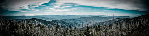 The Smokies - Explored by J.K. Hering Photography