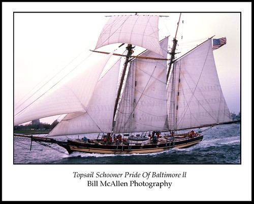 Topsail Schooner Pride Of Baltimore ll by Bill McAllen