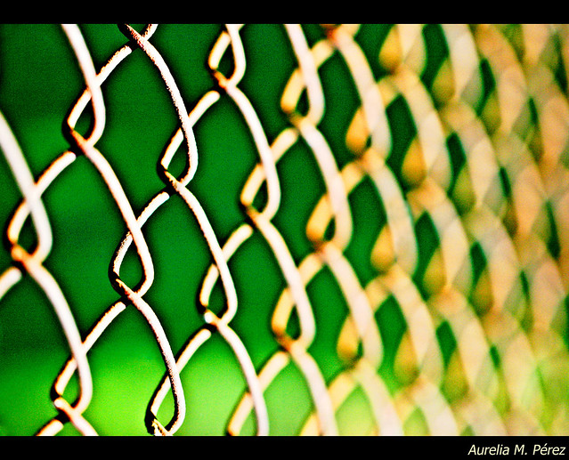 CHAINLINK  (Explored)