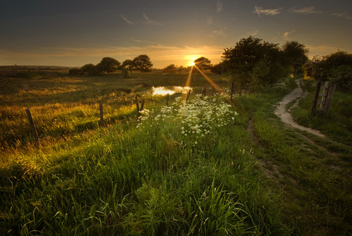 Scout Dyke Fields | by andy_AHG