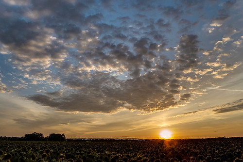 Sunset_20150719P1050135_HDRX by atgc_01, sunset clouds lumix sunflower hdr lx7 photomatix