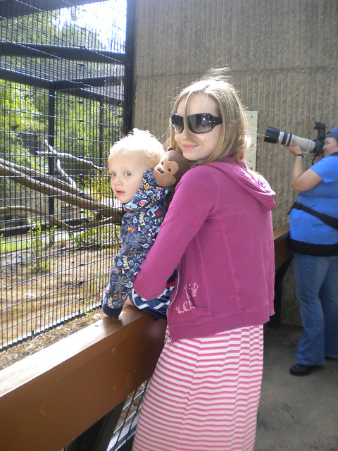 We love the zoo.