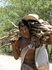 Hombre cargando leña y su sombrero - Man carrying firewood and his hat; near Sonaguera, Honduras