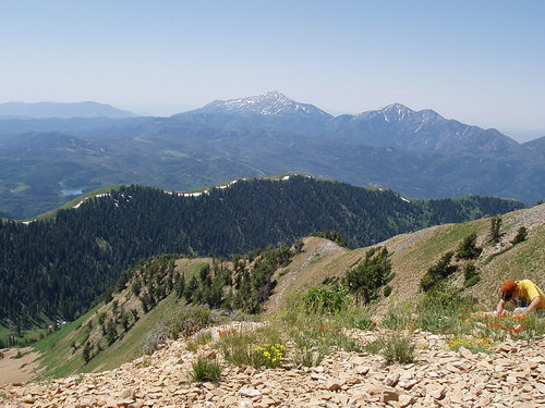 Mount Nebo  from the summit of Santaquin Peak.