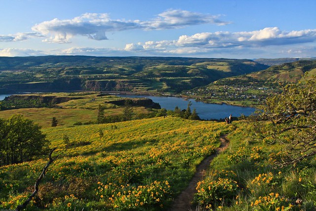View From Tom McCall trail across Rowena Crest into Washington
