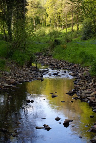 wood uk england reflection water woodland river geotagged stream unitedkingdom britain devon gb brook westcountry eggesford cheldon westworlington chawleigh affeton littledartriver geo:lat=5090888889 geo:lon=378033333