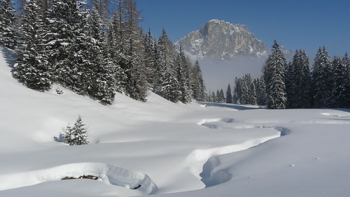 Noch einmal Winter... / winter again... by Riedler.H