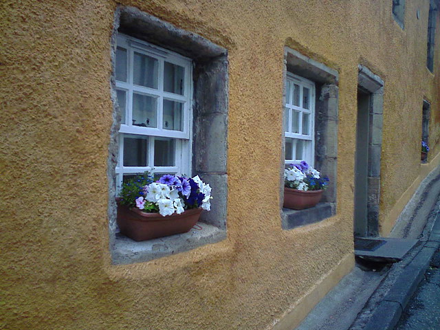 Window boxes Culross