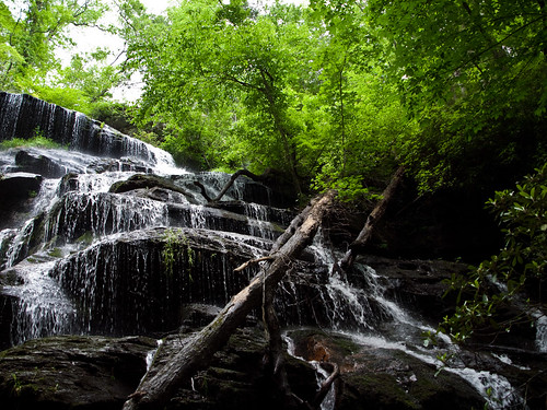 usa water forest waterfall southcarolina olympus falls yellowbranch yellowbranchfalls e620 flickrwrherndon landscape