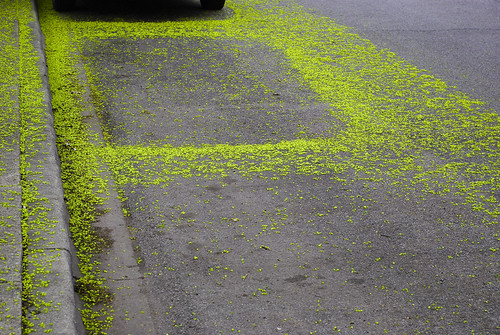 Make sure to park between the yellow lines by fotomattic