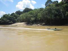 Batang Rejang River  19