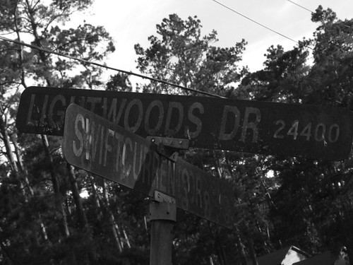 steet sign | by evanw72