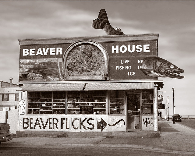 The Beaver House