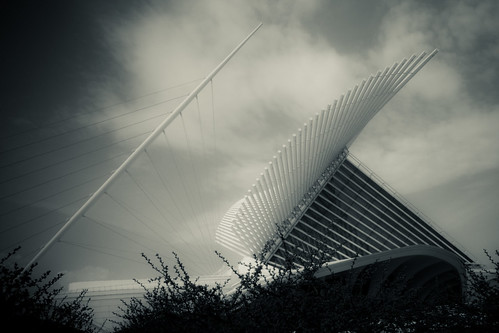 Calatrava - Ready to fly by tabrandt