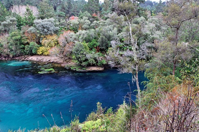 20090517-04-Waikato River