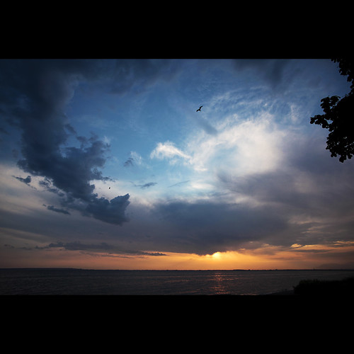 sunset clouds britishcolumbia seagull surrey crescentbeach canonef1740mmf40lusm kvdl