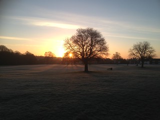 Sunrise over Chalfont St Peter - IMG_3801