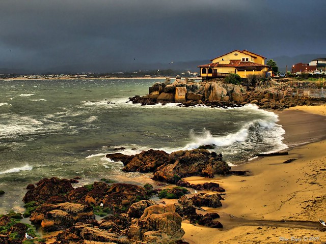 Watching the Storm, Monterey