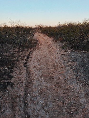morning arizona nature sunrise landscape photography desert hiking path az trail sanpedroriver sanpedroripariannationalconservationarea iphoneography vscocam