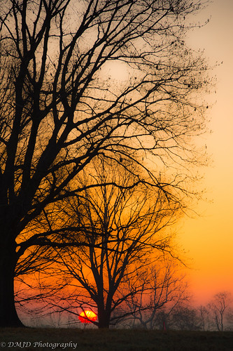 park morning trees sky tree sunrise dawn outdoor pennsylvania national valley serene forge goldenhour