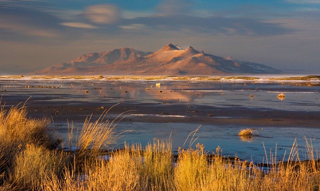 Great Salt Lake - Antelope Island - 1-10-09  03