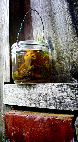 Pond dipping | by Limbertink