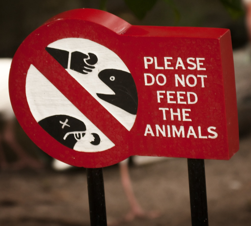 Please do not disclose. Животных не кормить табличка. Please do not Feed the animals. Знаки в зоопарке на английском. Таблички в зоопарке.