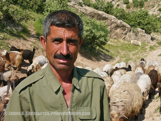 Kurdish shepherd, near Dohuk, 2005
