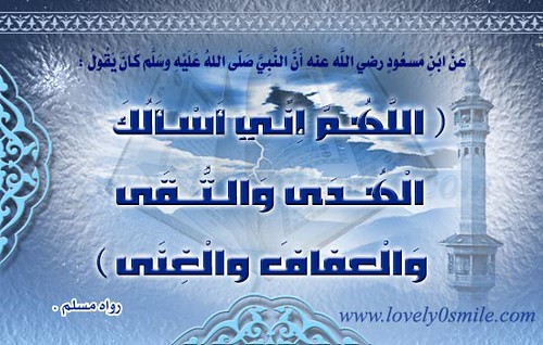 douaa | by effat57