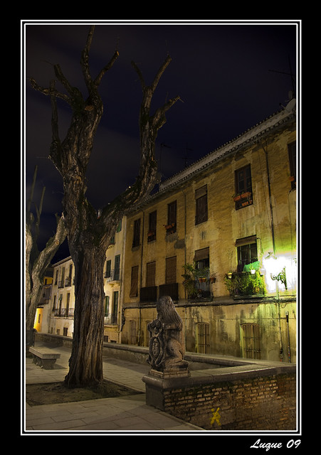 Noche en Granada/Night in Granada