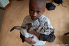 Miles and the Kitty