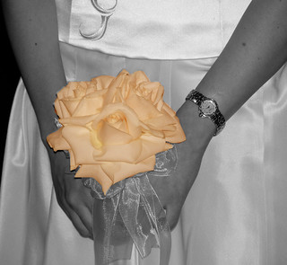 Goci's Engagement