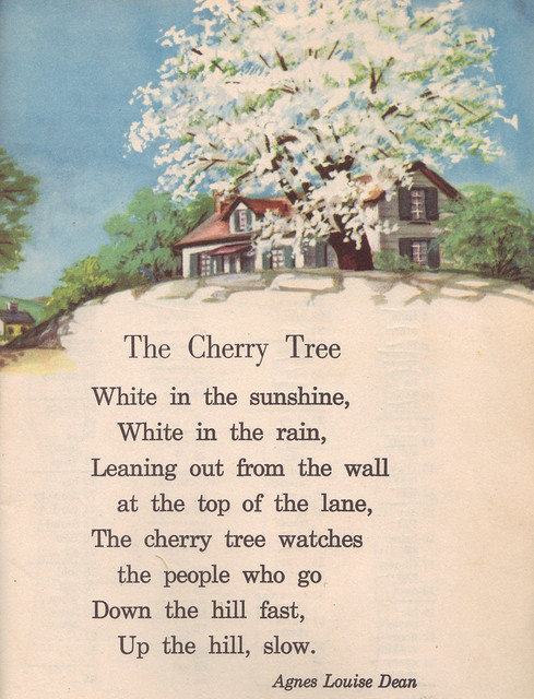 The Cherry Tree illustrated by Meg Wohlberg