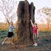 Termite mound, Darwin, Australia