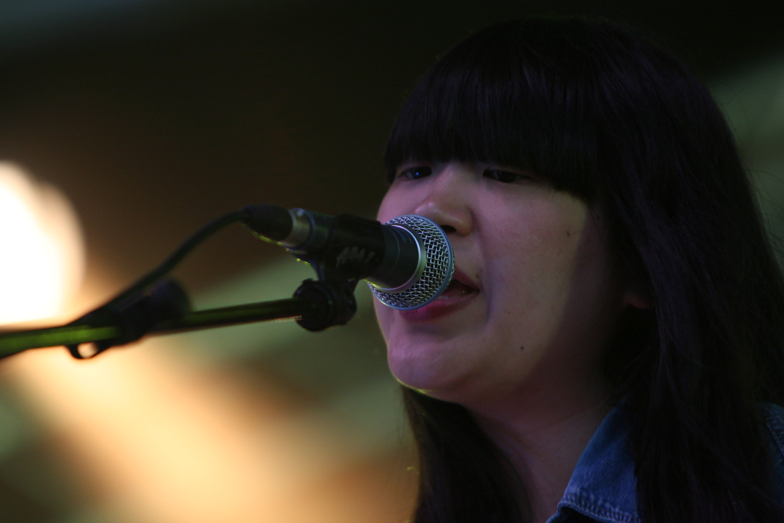 Primavera Sound 2009: The Pains Of Being A Pure Heart