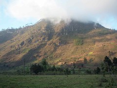 View from the road of mountain, clouds and plots of land - Vista desde la carretera cerca de Purulhá, Baja Verapaz, Guatemala