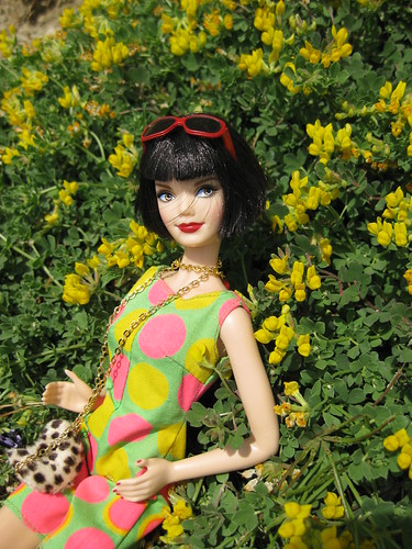 Posing with lovely yellow flowers ( don't know their name) | by mimimaus2009