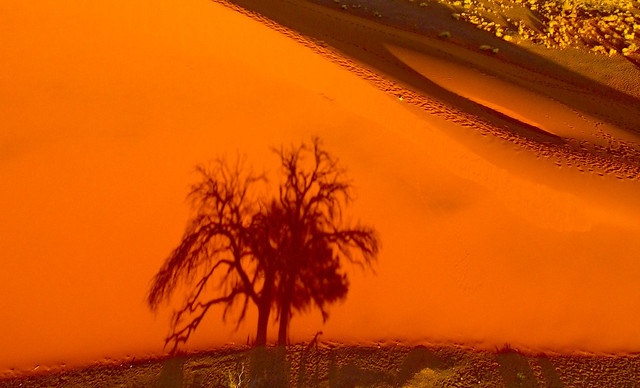 Rising Sun AutoKAP on Dune 45 in Sossusvlei, Namib Desert Namibia