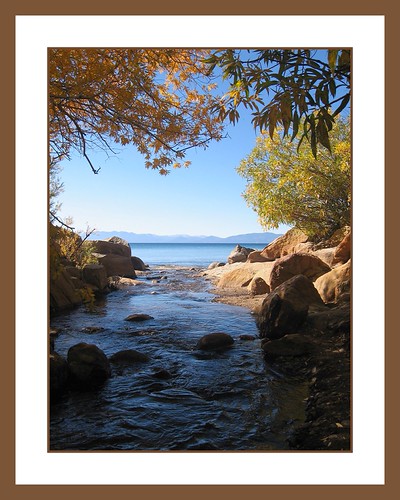 Into the Light by LuAnn Hunt