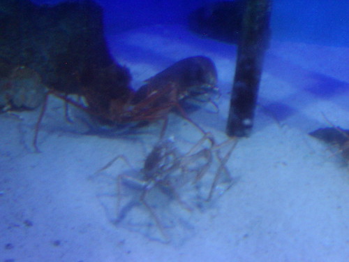 uShaka Marine World