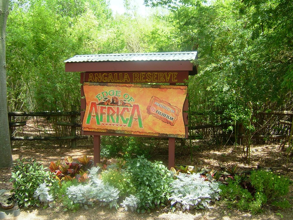 Edge Of Africa Busch Gardens Tampa Florida Rod Flickr