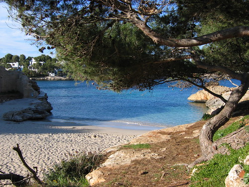 cala d'or | by sedling