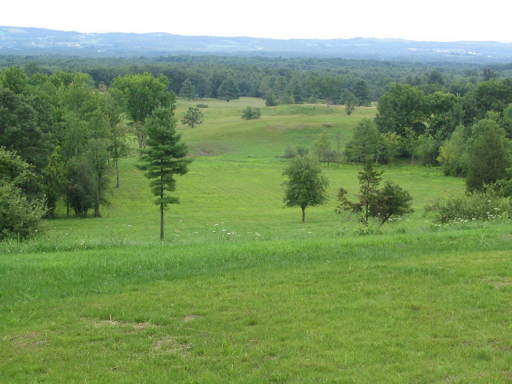 Horse Trail