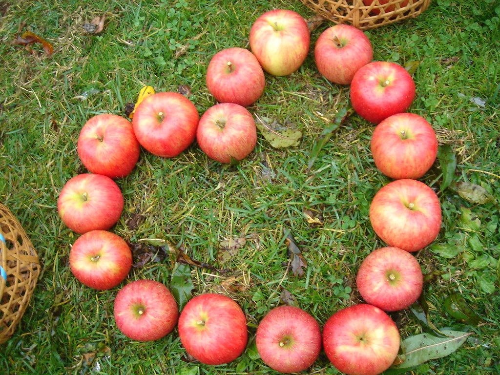 はぁと おいしそうなりんごでかわいいハート 鹿角 三姫 Flickr