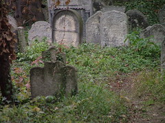 Jewish Cemetery, Kolin, Czech Republic