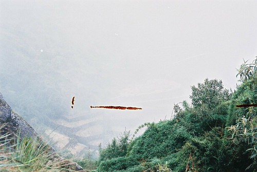 F1020035 | by Simon Cast