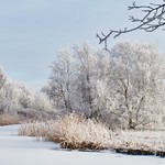 Winter, Groene Ster Leeuwarden