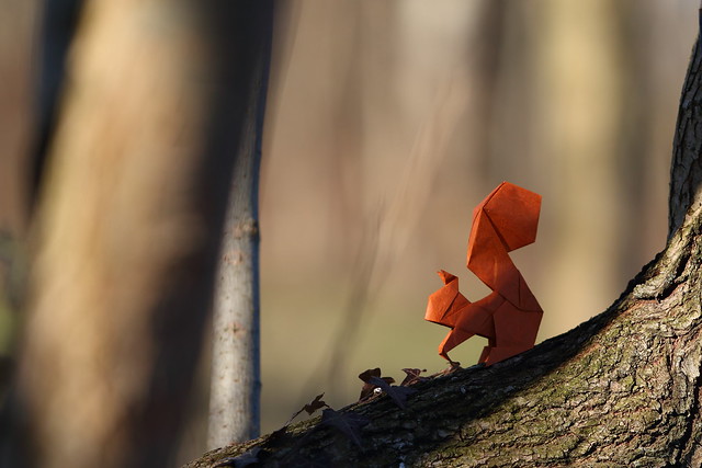 Squirrel ( origami )