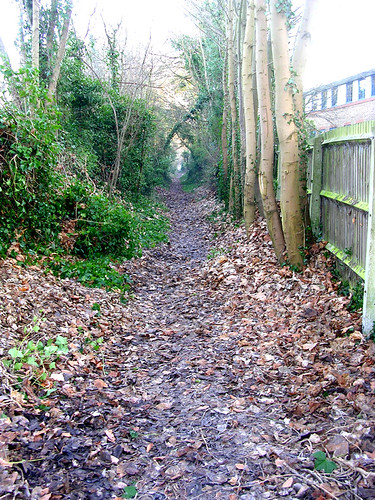 Pathway off Epsom Road, Guildford, Surrey, 9th January 2009 | by Guildford Ghost